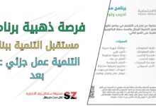فرصة ذهبية برنامج مستقبل التنمية ببنك التنمية عمل جزئي عند بعد