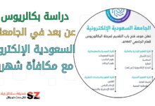 دراسة بكالريوس عن بعد في الجامعة السعودية الإلكترونية مع مكافأة شهر ية وفرص وظيفية